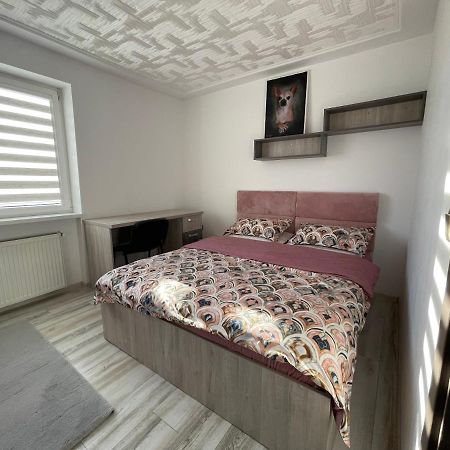 Tei Apartment - Lucian Blaga Máréfalva Kültér fotó