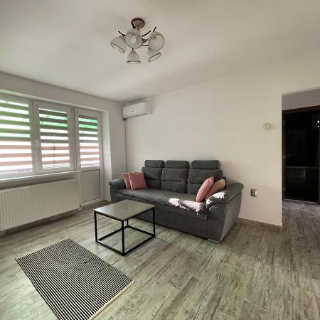 Tei Apartment - Lucian Blaga Máréfalva Kültér fotó