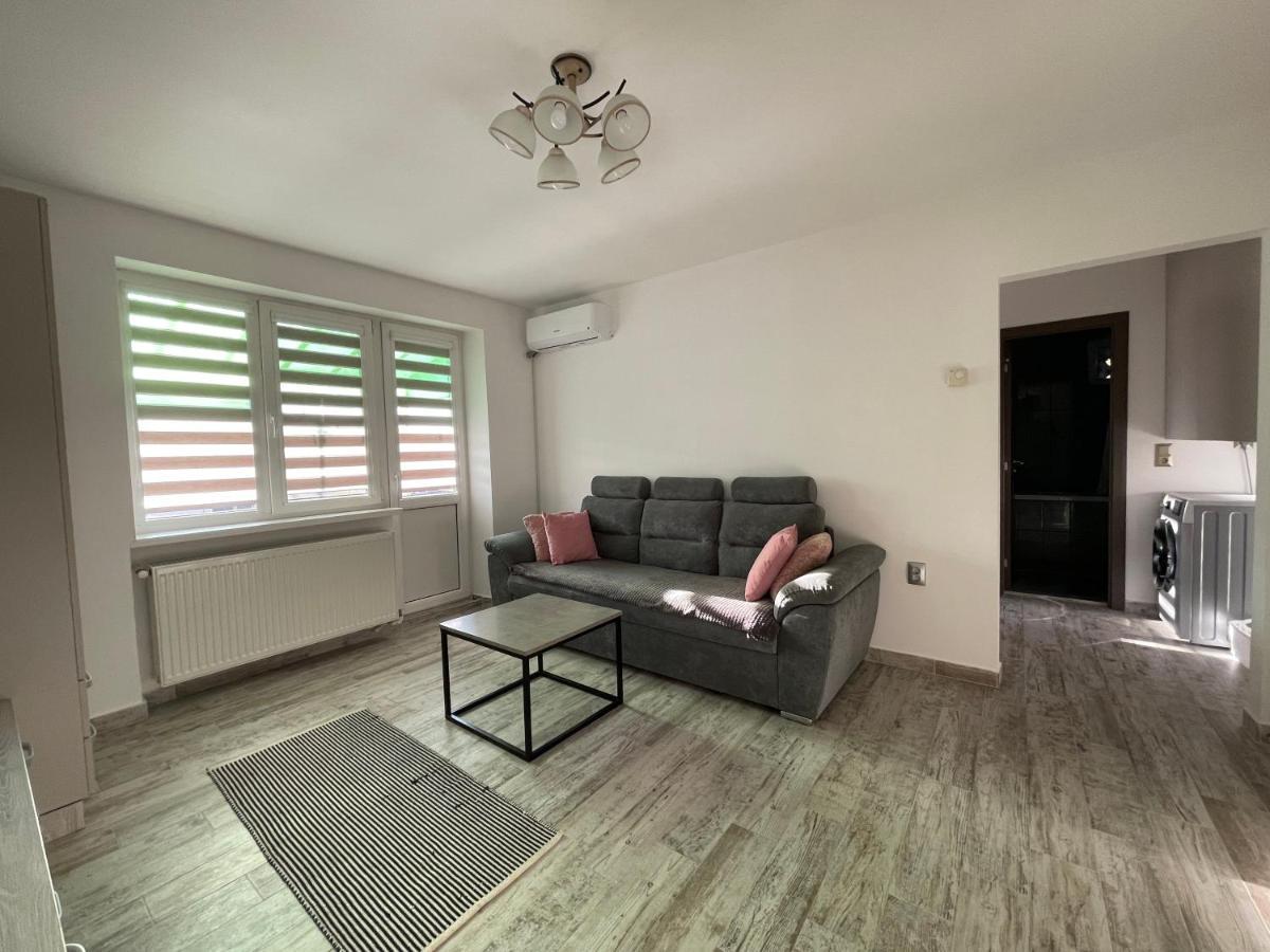 Tei Apartment - Lucian Blaga Máréfalva Kültér fotó